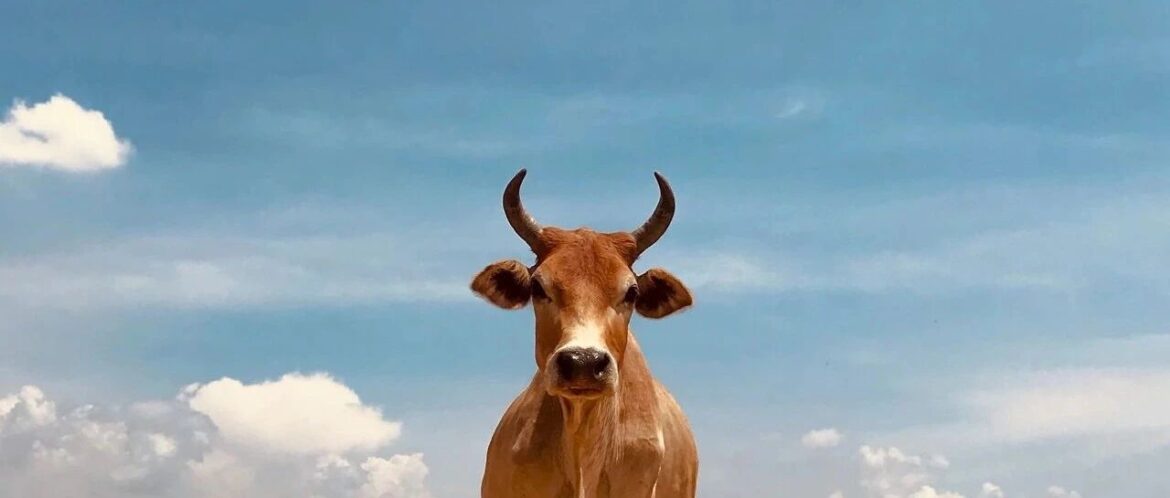 周末！重大利好