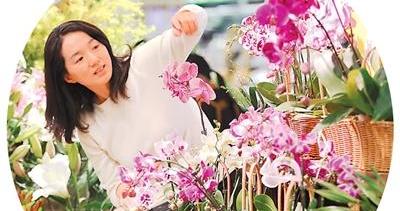 盘点今年“双11”的新变化