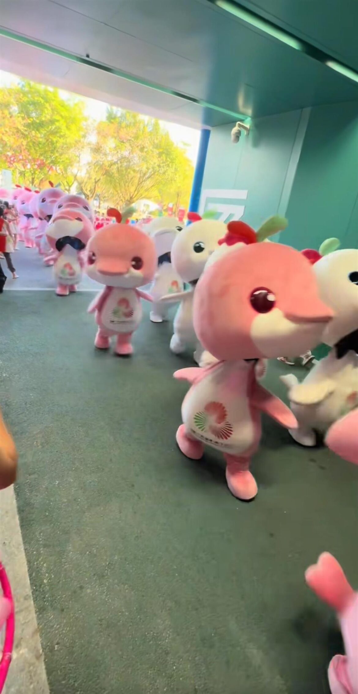 全运会“大湾鸡”意外走红，系40名“10后”武校学生扮演，被称为“史上最癫吉祥物”，总指挥：没想到会这么出圈