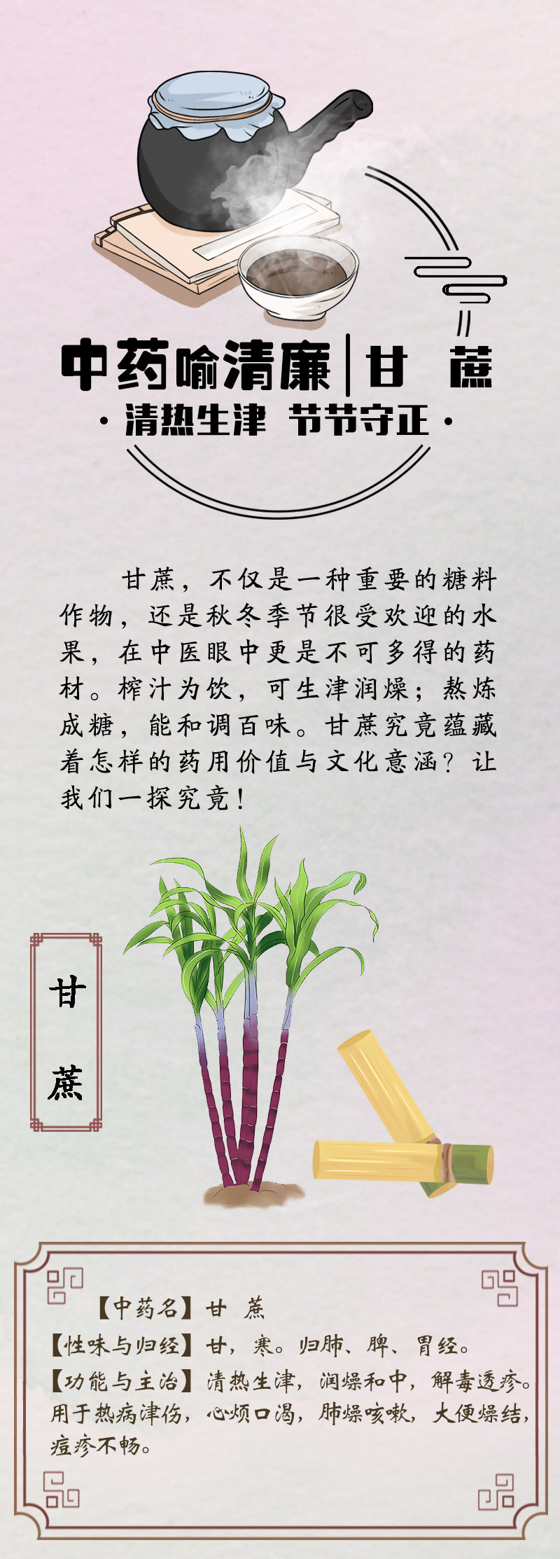 中药喻清廉丨甘蔗：清热生津 节节守正