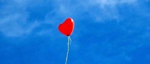 七言｜尊重每一只青蛙，和它的井