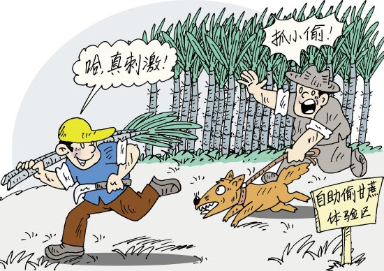 真人版“偷甘蔗”农场火了，一晚上千人参与，它的火爆能复制吗？