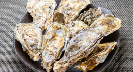 日本广岛牡蛎大规模异常死亡，广岛县知事：目前的状况已是灾害级别