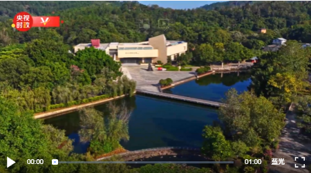 独家视频丨习近平在广东省梅州市考察调研