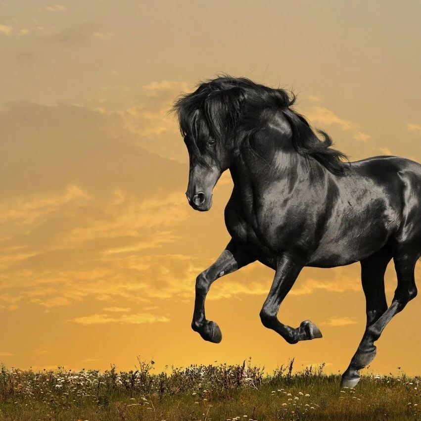 央行，连续出手！10月外汇储备继续环比上升