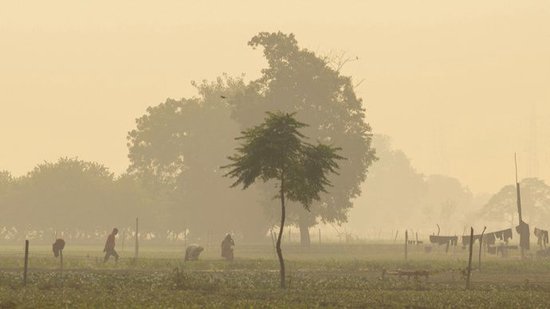 新德里干了件50年来从未有过的大事，结果成了代价高昂的奇观