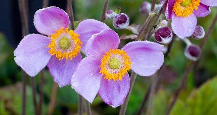 男人这样子回你微信，其实是拒绝你，对你没兴趣