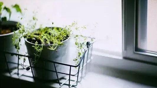 原创|为什么生病了，要尽量隐瞒，别让外人知道？看完就明白了