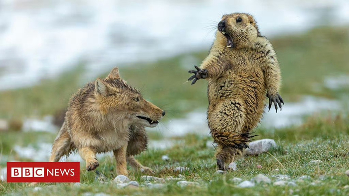 6岁男孩见医生紧张频尿急，医生安抚称不疼