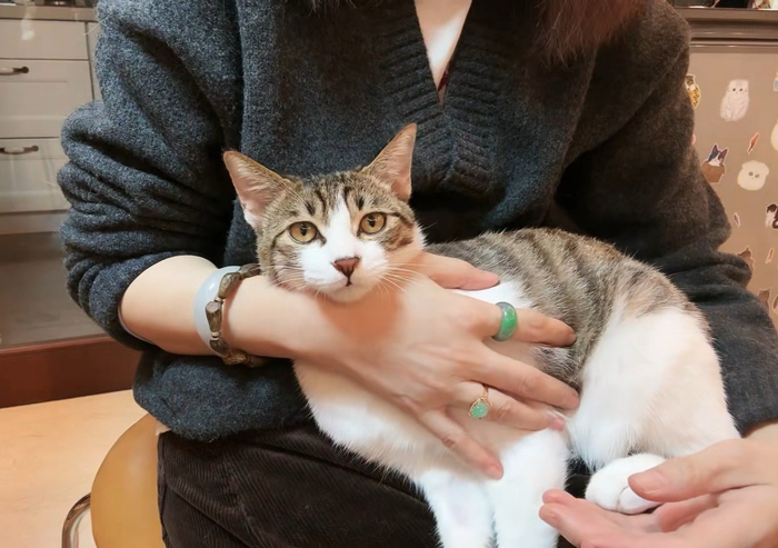 小宝宝不舍离别最爱老师