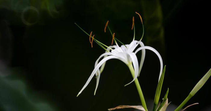 夫妻之间淡漠，多做以下事，能让感情回温