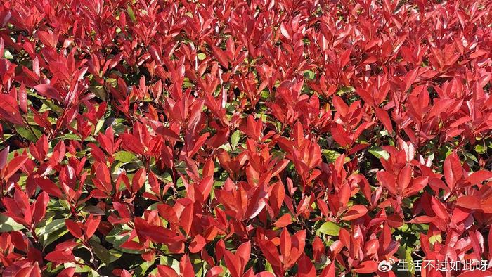 夫妻之间，如果长期分床睡，根源无非是这2个原因