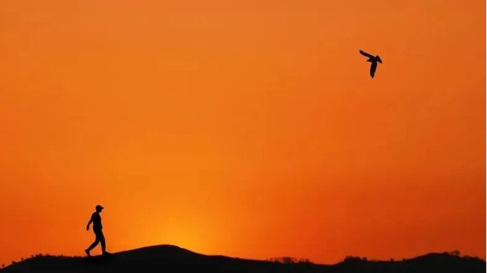 原创|渡人亦渡己！