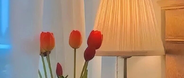 人与人之间的关系是不可能长久的