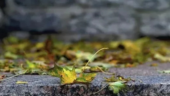 原创|心理学家：总把“谢谢”挂嘴边的人，大多是这3类人