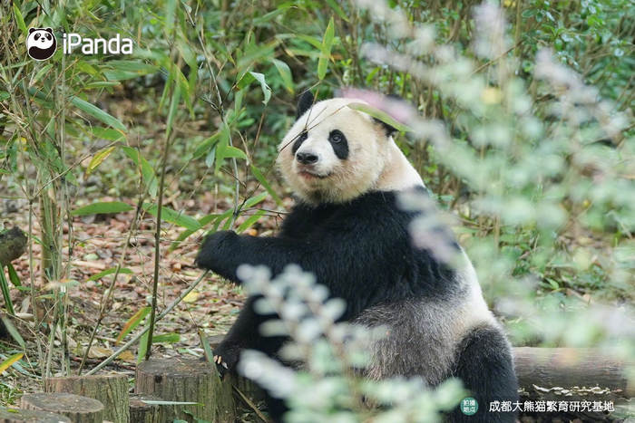 御寒三件套热水袋暖宝宝和拥抱说晚安