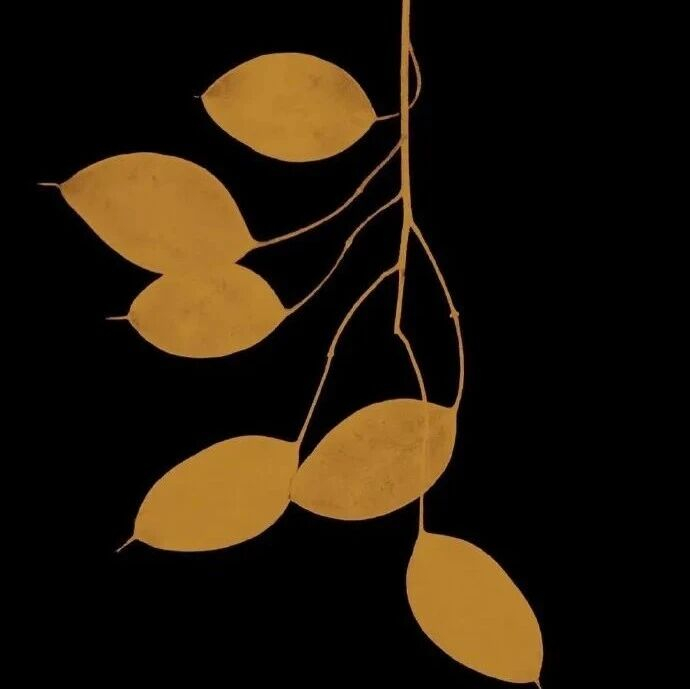 七言｜三千万人民币