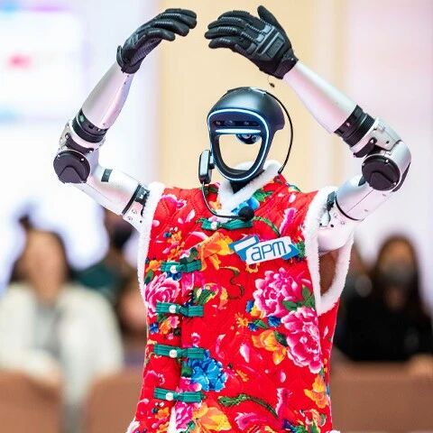 宇树，终于要IPO了